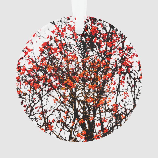 Red rowan fruits or ash berries ornament (Back)