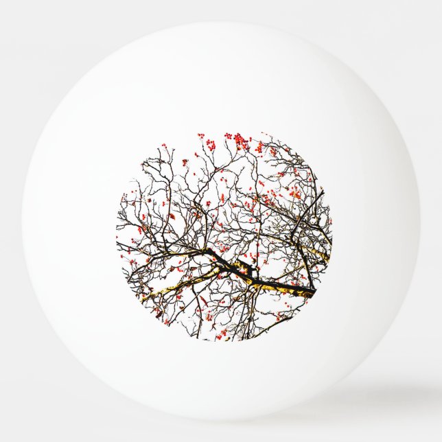 Red rowan fruits or ash berries ping pong ball (Front)
