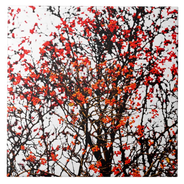 Red rowan fruits or ash berries tile (Front)