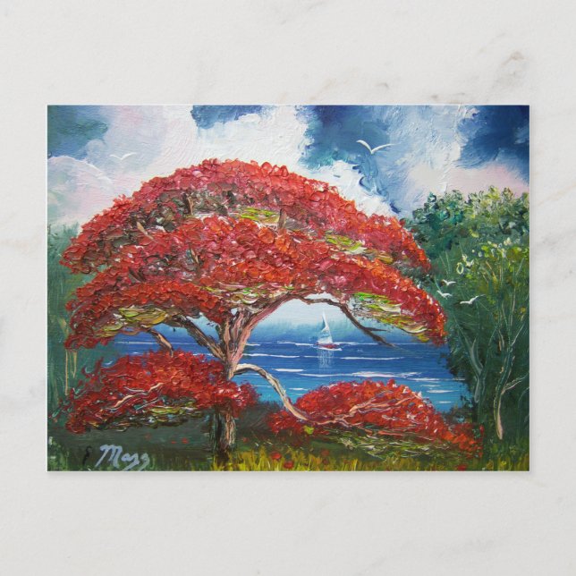 Red Royal Poinciana Tree and Sailboat Postcard (Front)