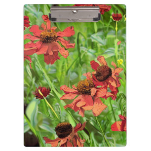 RED RUDBECKIA FLOWERS CLIPBOARD