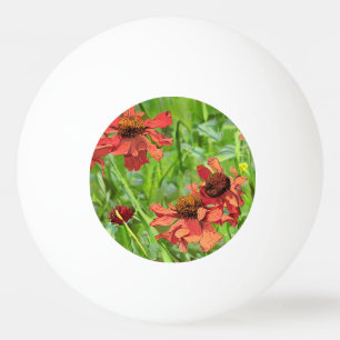 RED RUDBECKIA FLOWERS PING PONG BALL