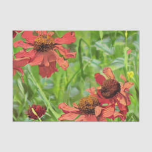 RED RUDBECKIA FLOWERS TISSUE PAPER