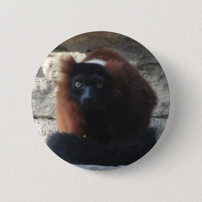 Red Ruffed Lemur 6 Cm Round Badge (Front)