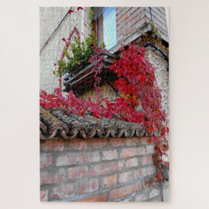 Red Running Plant And The Window Jigsaw Puzzle