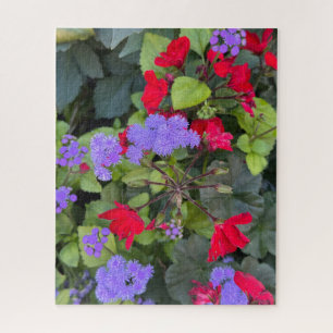 Red Salvia and Purple Ageratum, Quebec City Jigsaw Puzzle