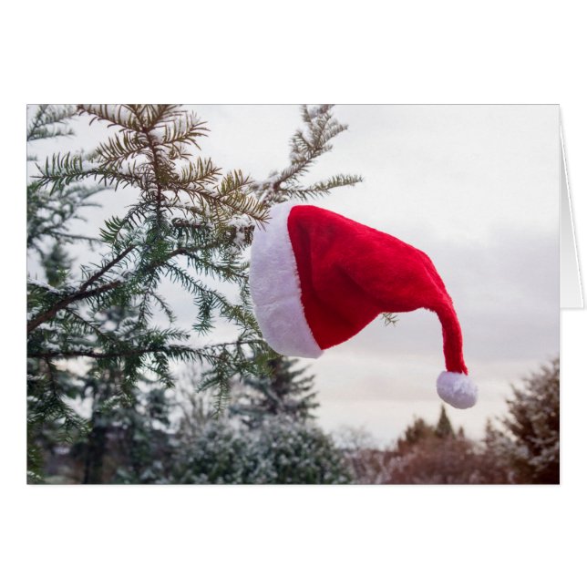 Red Santa cap on the fir (Front Horizontal)
