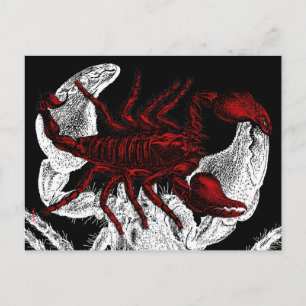 Red Scorpion - Postcard