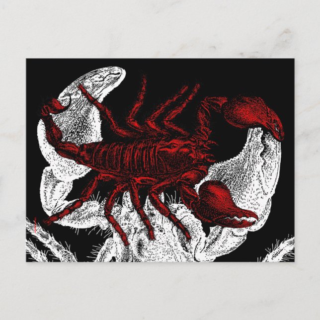 Red Scorpion - Postcard (Front)