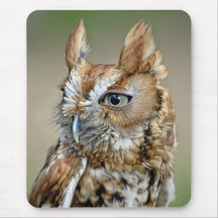 Red Screech Owl Mouse Pad