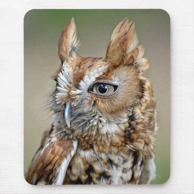 Red Screech Owl Mouse Pad (Front)