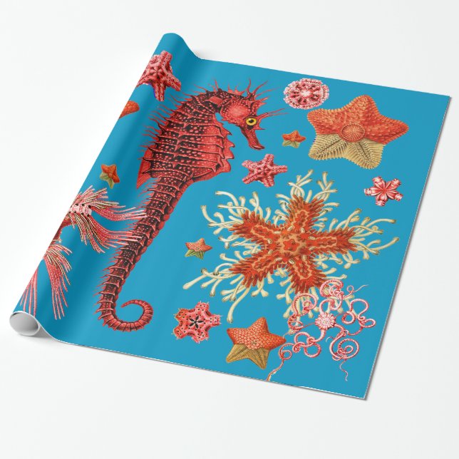 RED SEAHORSE AND SEASTARS IN AQUA BLUE Sea Life Wrapping Paper (Unrolled)
