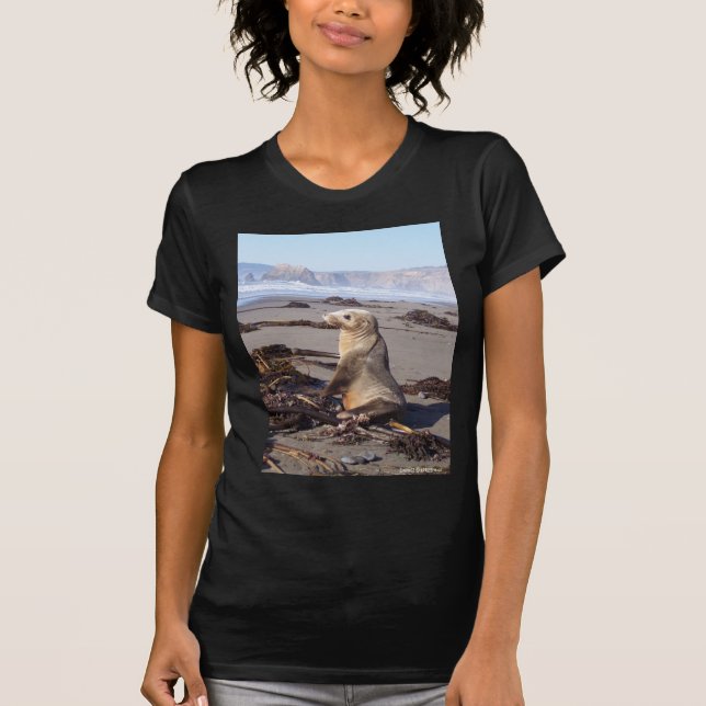 RED SEAL SHIRTS (Front)