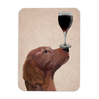 Red Setter Dog Au Vin 2