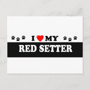RED SETTER POSTCARD