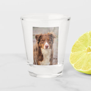 Red Shot Glass