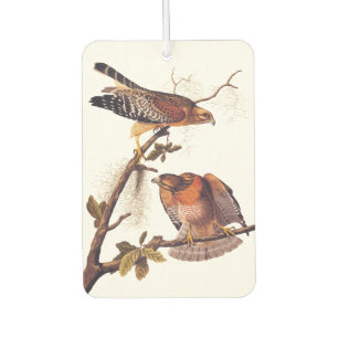 Red Shouldered Hawk Audubon Bird of Prey Car Air Freshener