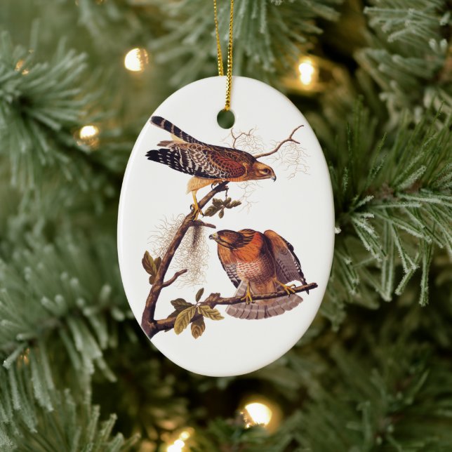 Red Shouldered Hawk Audubon Bird of Prey Ceramic Tree Decoration (Tree)
