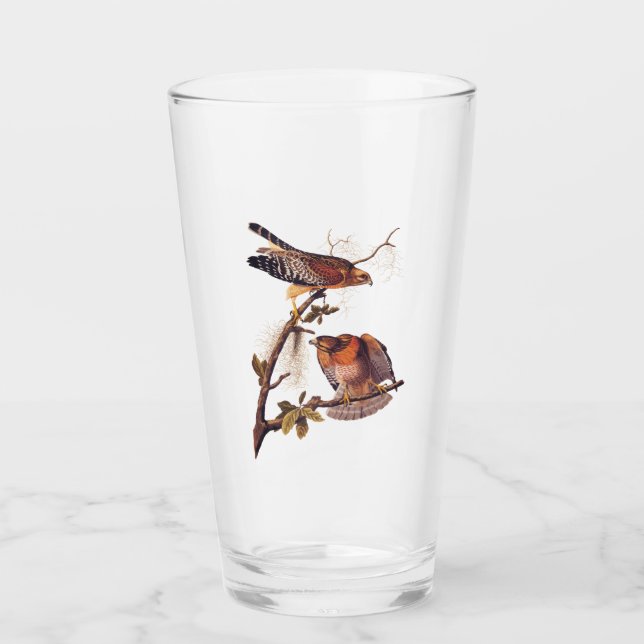 Red Shouldered Hawk Audubon Bird of Prey Glass (Front)