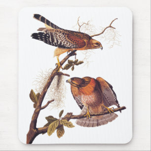 Red Shouldered Hawk Audubon Bird of Prey Mouse Pad