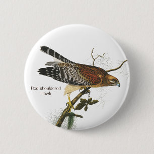 Red-shouldered Hawk, Audubon, Birdwatcher's Bird 6 Cm Round Badge