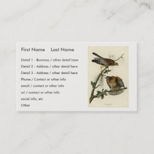 Red-shouldered Hawk - Audubon's Birds of America Business Card