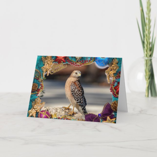 Red-Shouldered Hawk Christmas Card (Front)