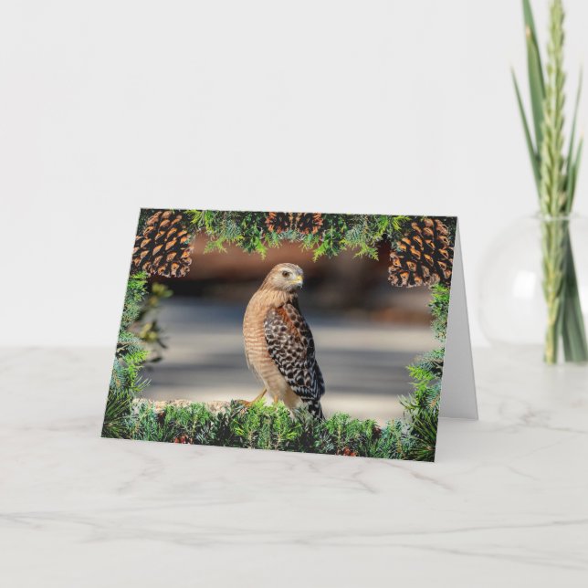 Red-Shouldered Hawk Christmas Card (Front)