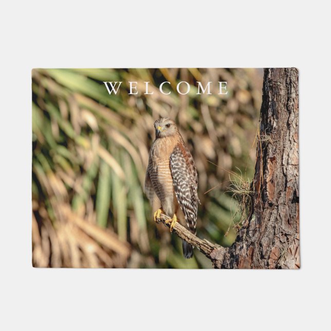 Red Shouldered Hawk in a tree Doormat (Front)