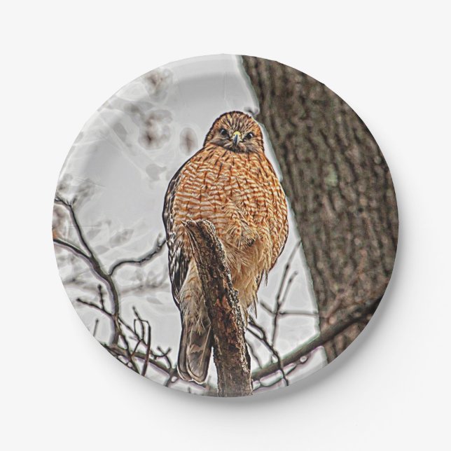 Red Shouldered Hawk in a tree Paper Plate (Front)