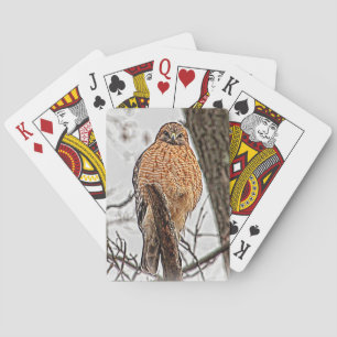 Red Shouldered Hawk in a tree Playing Cards