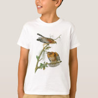Red-shouldered Hawk John Audubon Birds of America