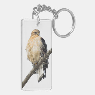 Red Shouldered Hawk Key Ring