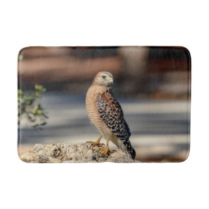 Red Shouldered Hawk on a rock Bath Mat