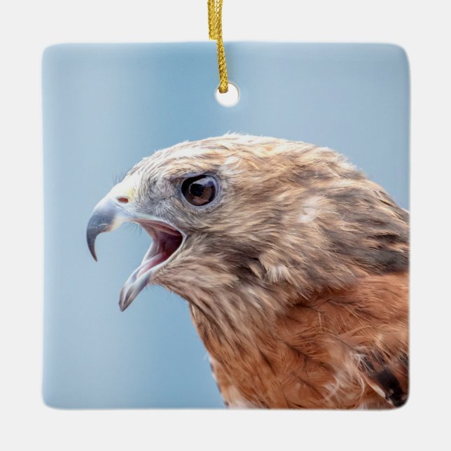 Red Shouldered Hawk on a rock Ceramic Tree Decoration (Front)