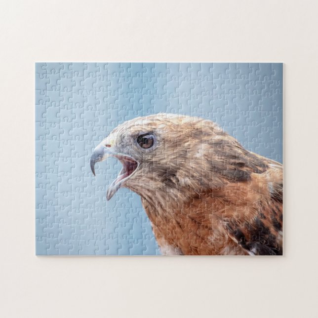 Red Shouldered Hawk on a rock Jigsaw Puzzle (Horizontal)