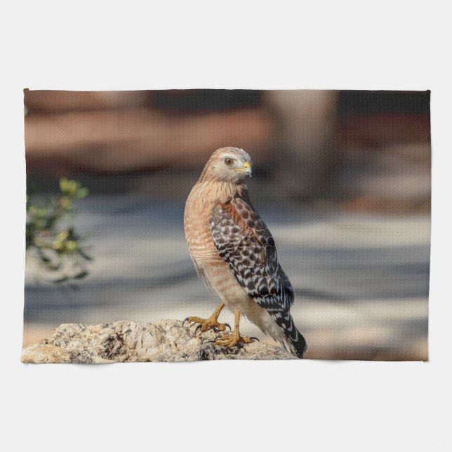 Red Shouldered Hawk on a rock Tea Towel (Horizontal)