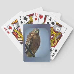 Red-shouldered Hawk Playing Cards