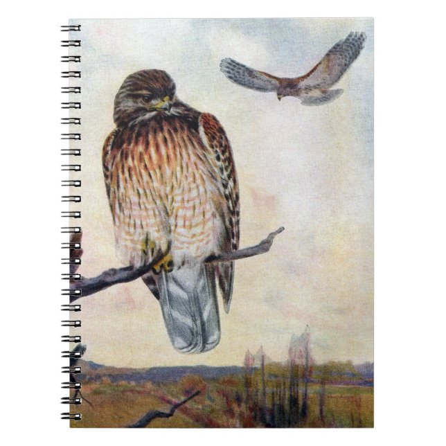 Red-shouldered Hawks Vintage Illustration Spiral Notebook (Front)