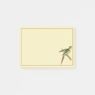 Red-shouldered Parakeet Post-it Notes