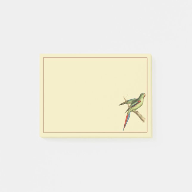 Red-shouldered Parakeet Post-it Notes (Front)