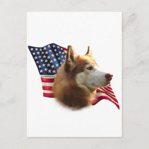Red Siberian Husky Flag Postcard