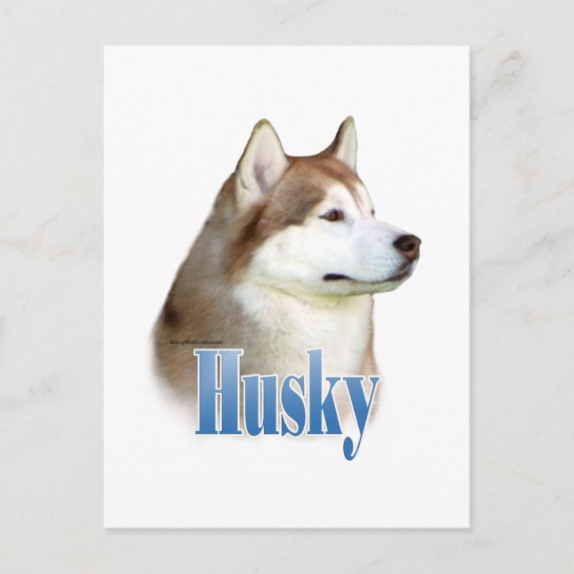 Red Siberian Husky Name Postcard (Front)