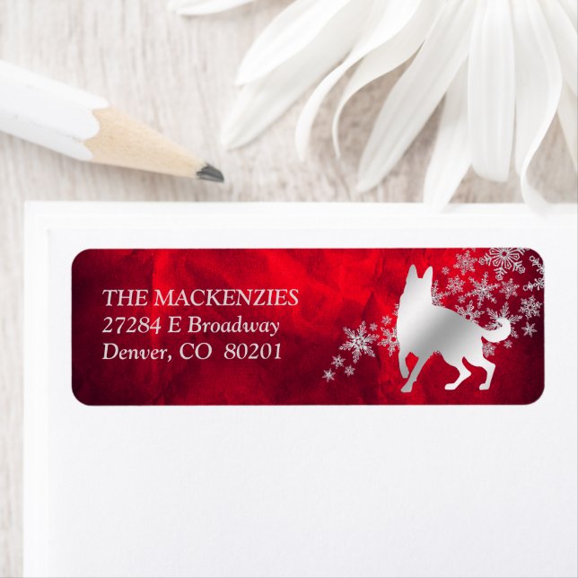 Red Silver Winter German Shepherd Dog Address (Insitu)