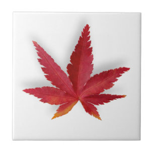 Red single autumn leaf tile