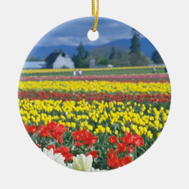 Red Skagit Valley, Mount Rainier, Washington, USA Ceramic Tree Decoration (Front)