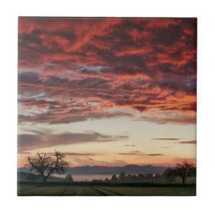 Red Sky Beautiful Landscape Tile