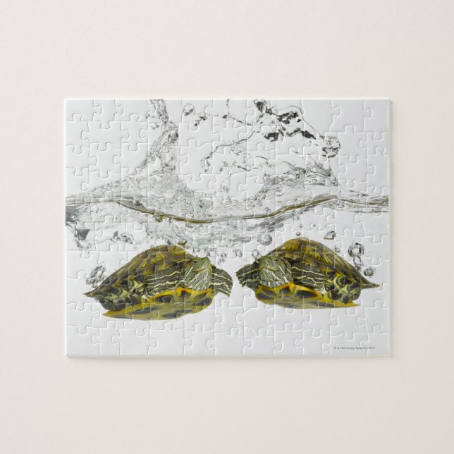Red slider turtles jigsaw puzzle (Horizontal)