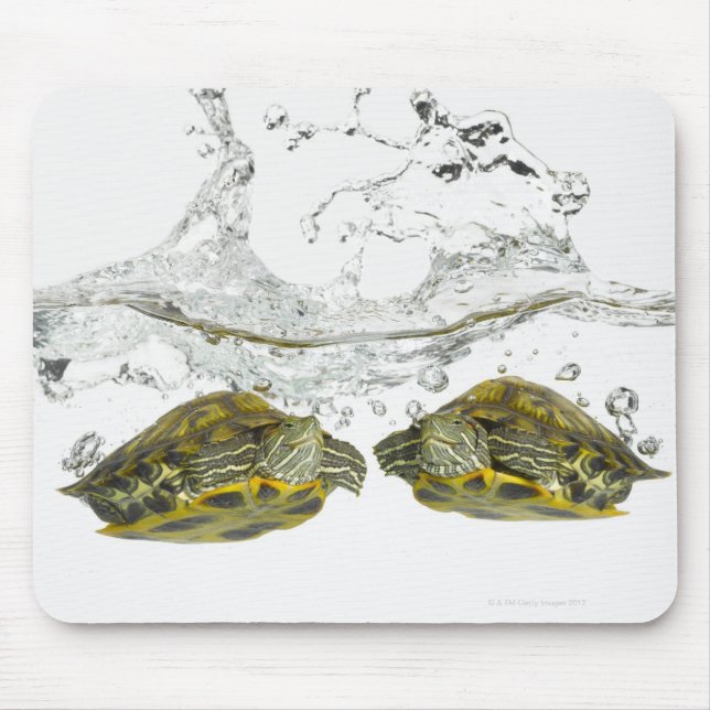 Red slider turtles mouse pad (Front)