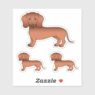 Red Smooth Coat Dachshund Cartoon Dog Drawings